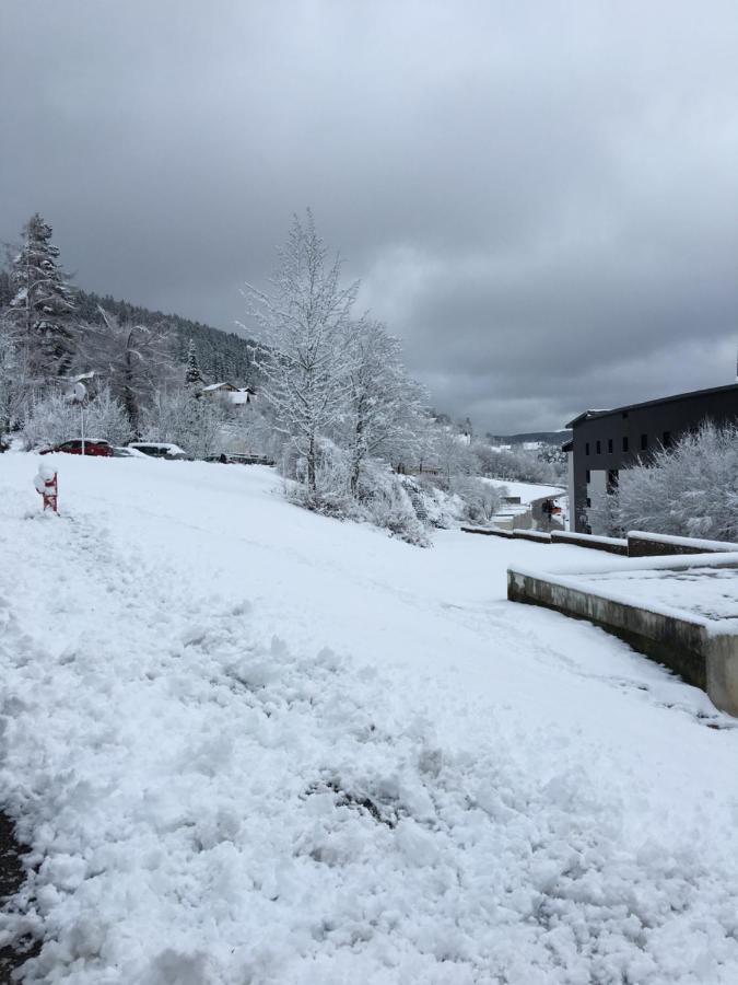 Gite Les Dryades Gérardmer Exterior foto