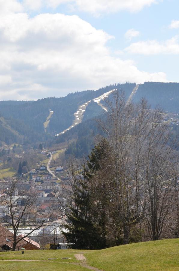 Gite Les Dryades Gérardmer Exterior foto